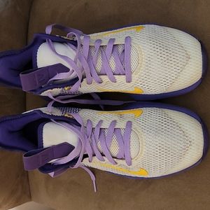 Nike LeBron witness 4 purple and white and Gold